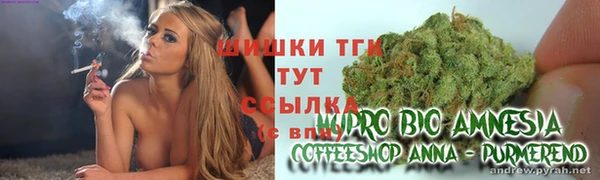 эйфоретик Баксан