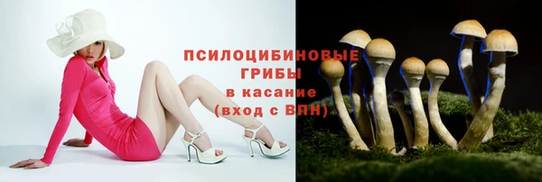 эйфоретик Баксан