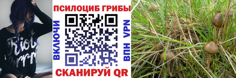 где купить наркоту  Горняк  мега сайт  Псилоцибиновые грибы Magic Shrooms 